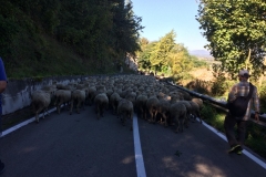 161dd59a-15b2-4624-a2f0-cc4dc3668942