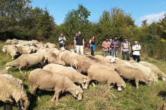 54df3f21-7938-4256-b6e8-d5a83401af56