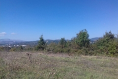 90ffe962-82ba-4436-b3ce-7d6e4035841d