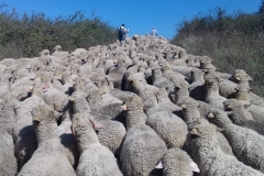 a7323493-4248-4664-b6da-663a7765e32f