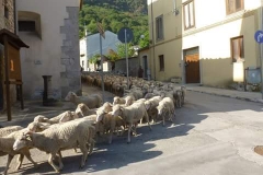 FB_IMG_1506781113199