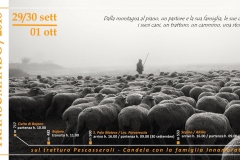 WhatsApp-Image-2018-09-10-at-12.27.28